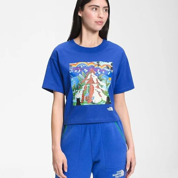 The North Face Women Sz L Blue Graphic Colorblock Boxy Tee Cropped - Picture 2 of 8